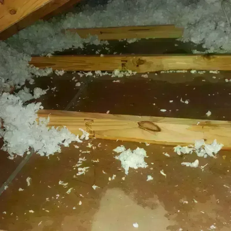 Attic Water Damage in Cheney, KS