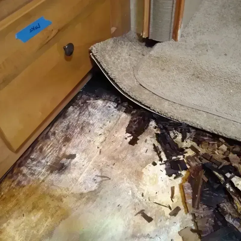 Wood Floor Water Damage in Cheney, KS